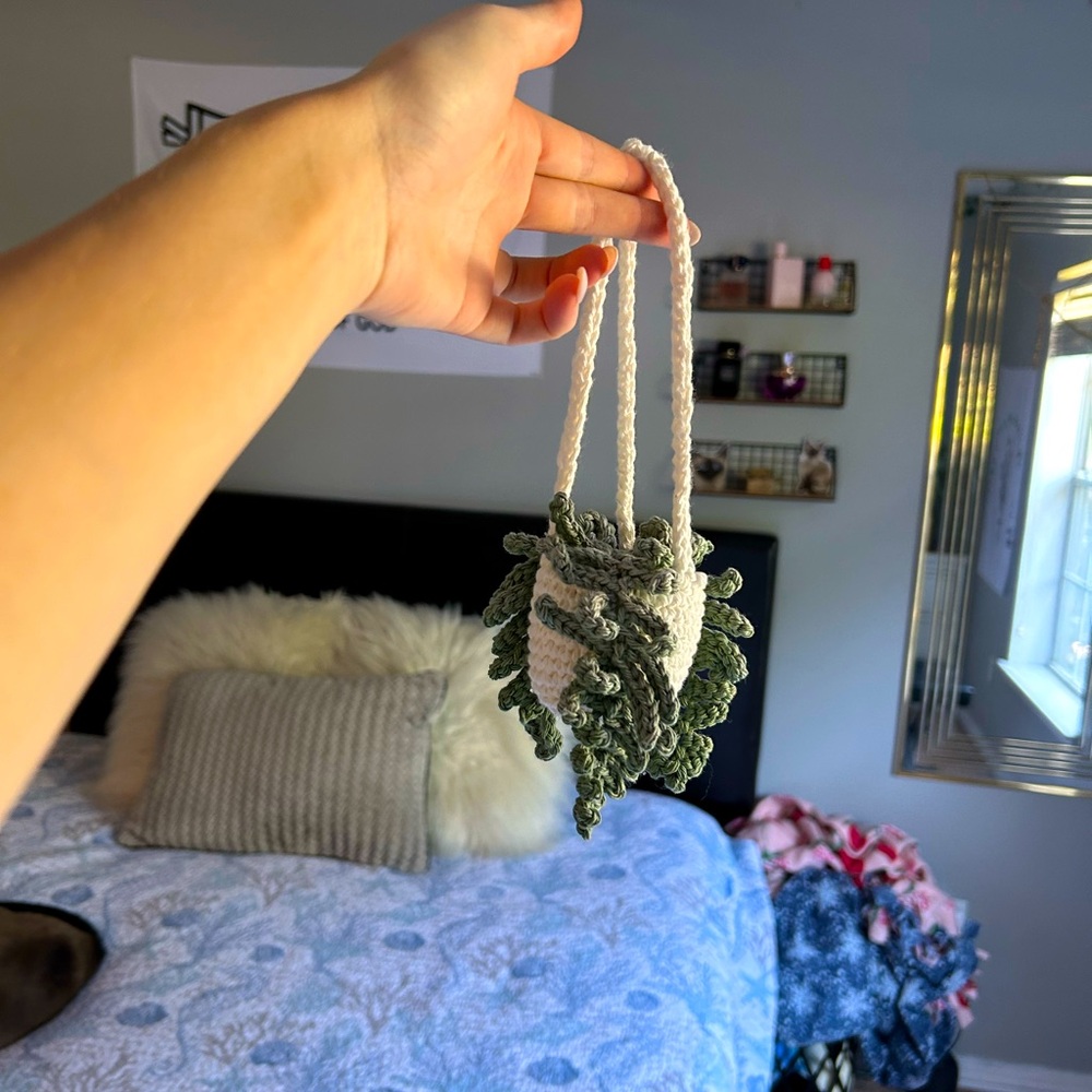 Car mirror plant decor